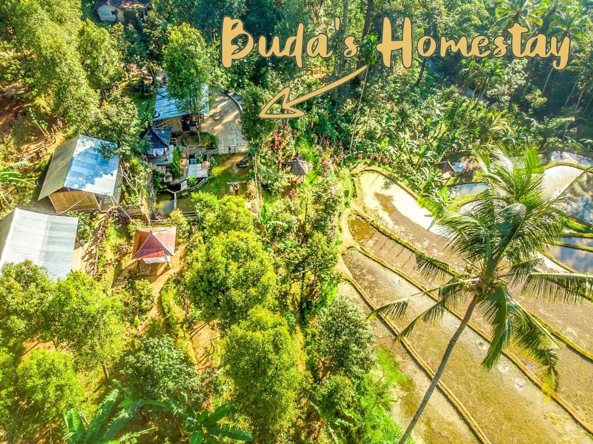 Buda'S Homestay Lemukih Buleleng Exterior foto
